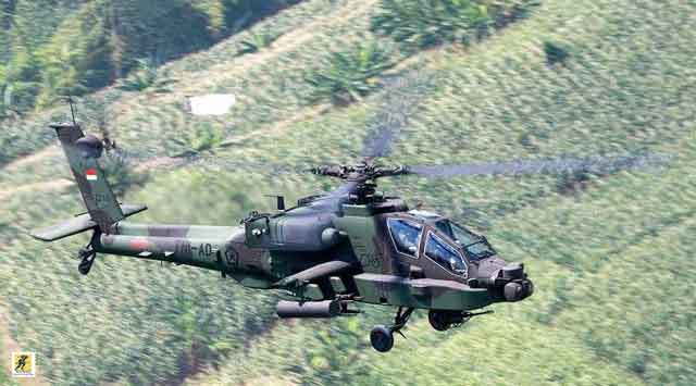 Indonesian Army(TNI-AD) AH-64E Apache