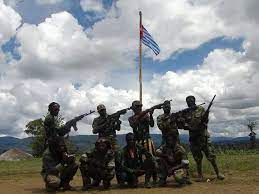 Organisasi pemberontak Papua Merdeka